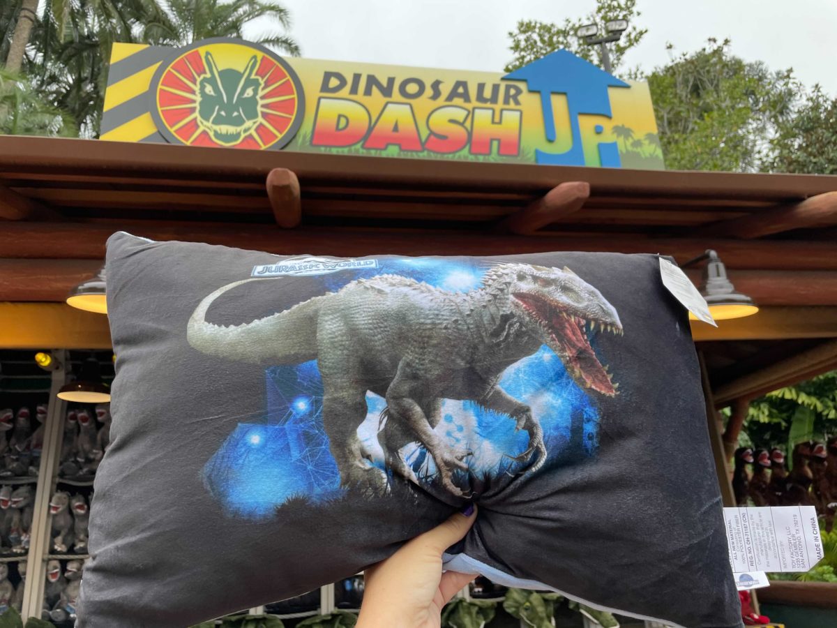 universal-orlando-photo-report-2-15-21-15-8747404
