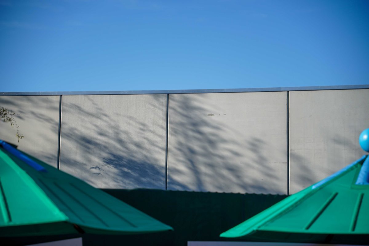 20210307-dsc05567-7134989
