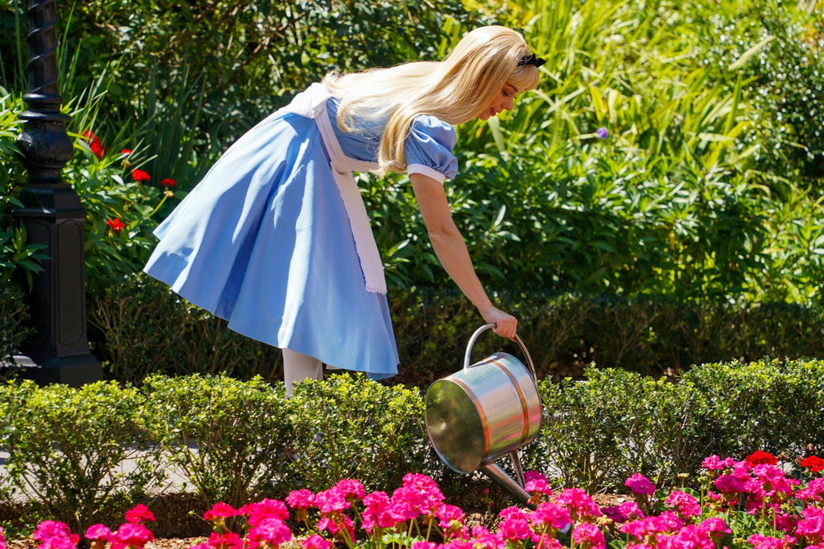 alice-in-uk-pavilion-3-14-21-2-6716160
