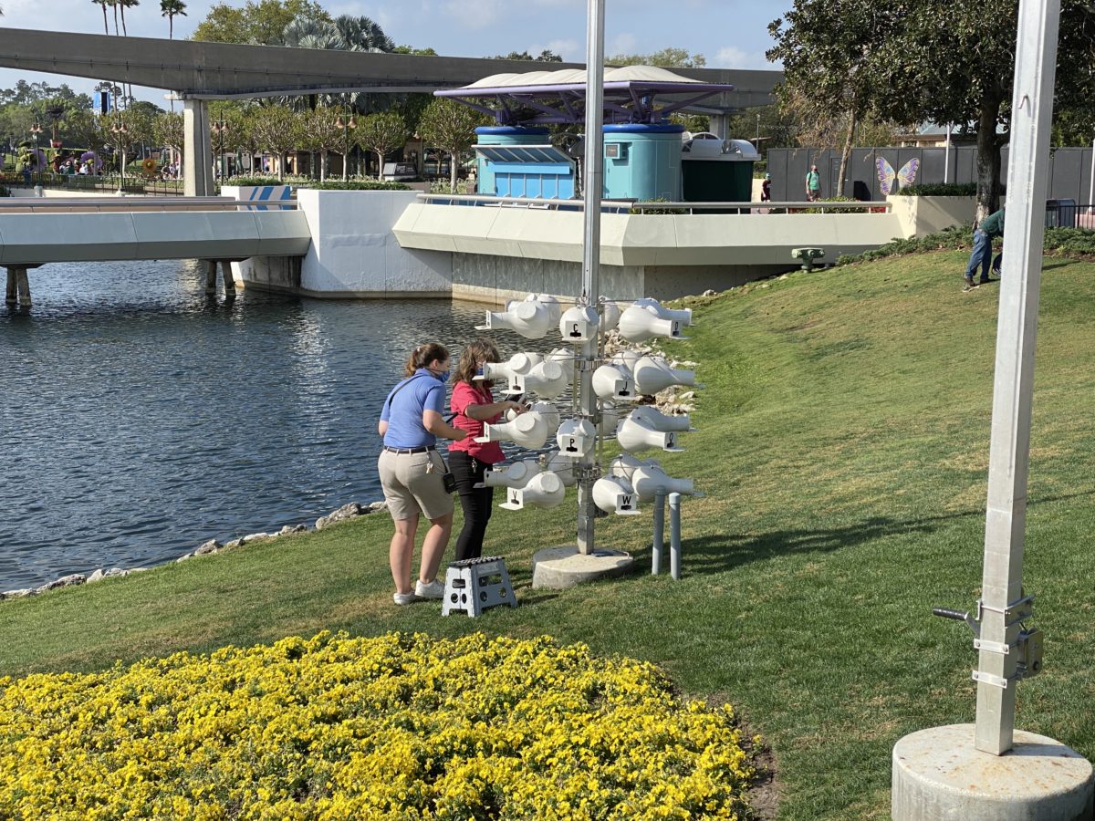 checking-purple-martin-nests-epcot-03182021-1359552