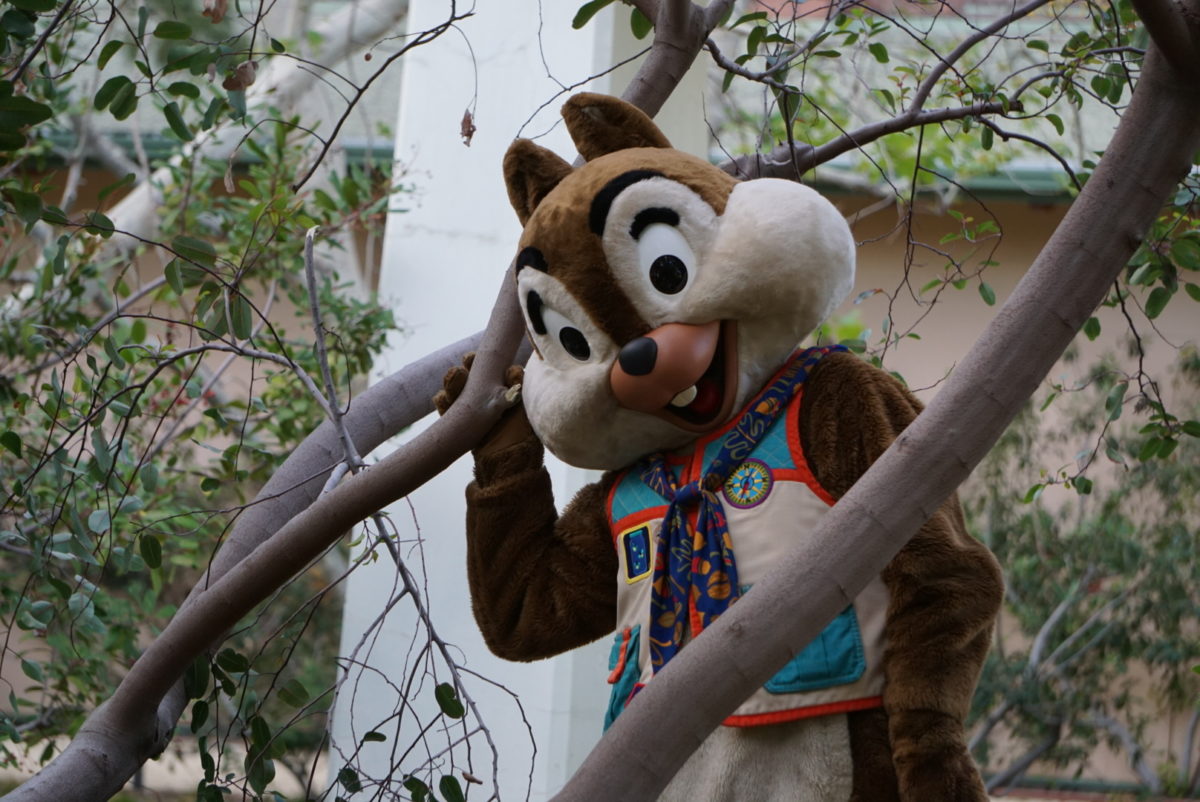Chip and Dale ATOD