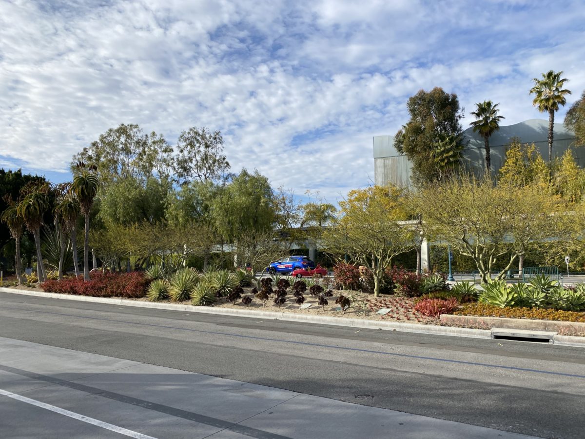 Autopia Cars DL 2021