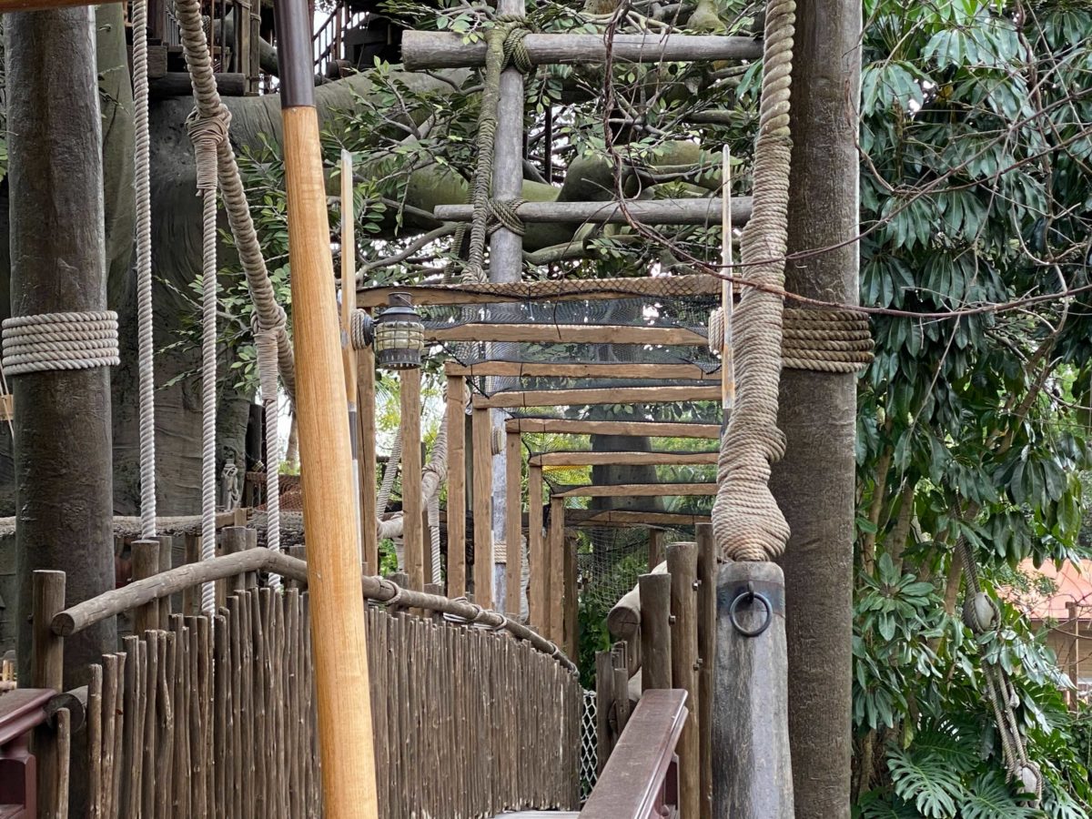 image-from-ios-2-175