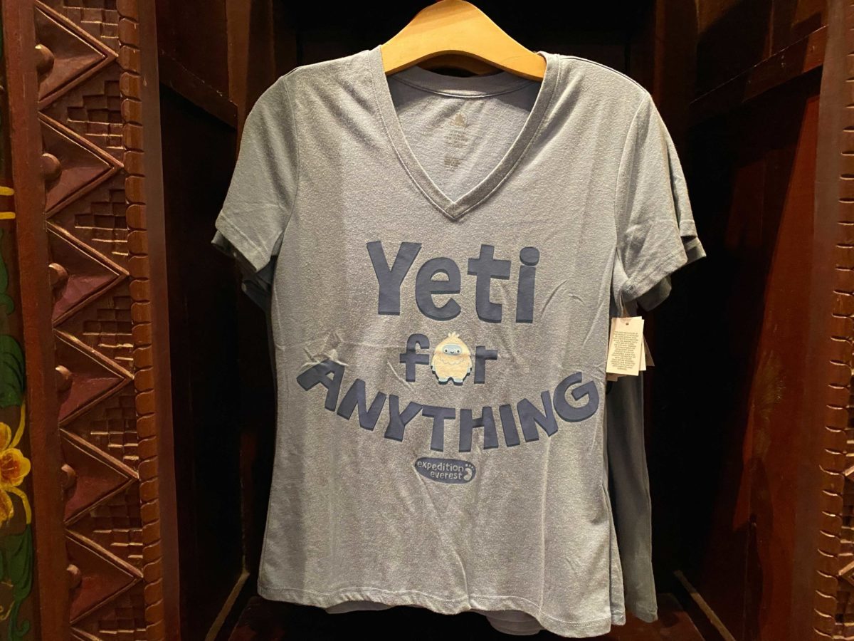 expedition-everest-merch