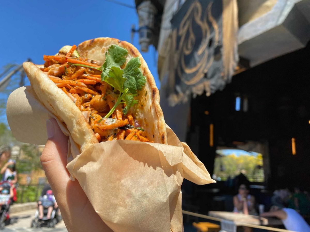 plant-based-rontu-wrap