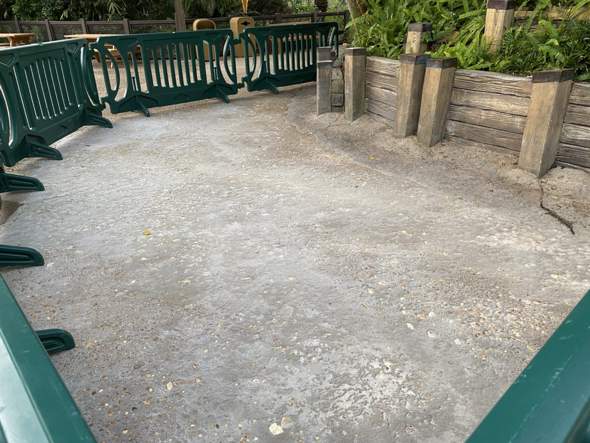 pavement-work-detail-dinoland-animal-kingdom-03192021-7034409