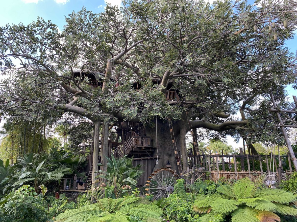 swiss-family-treehouse-refurbishment-3