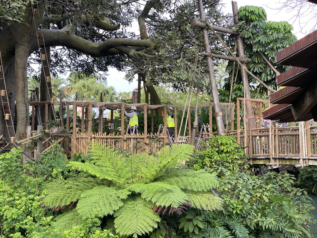 swiss-family-treehouse-canopy-work-continues-magic-kingdom-03232021-8266564