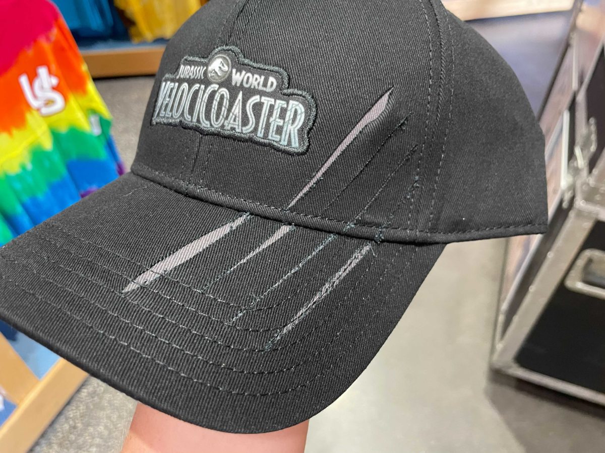 velocicoaster-hat-2-8576225