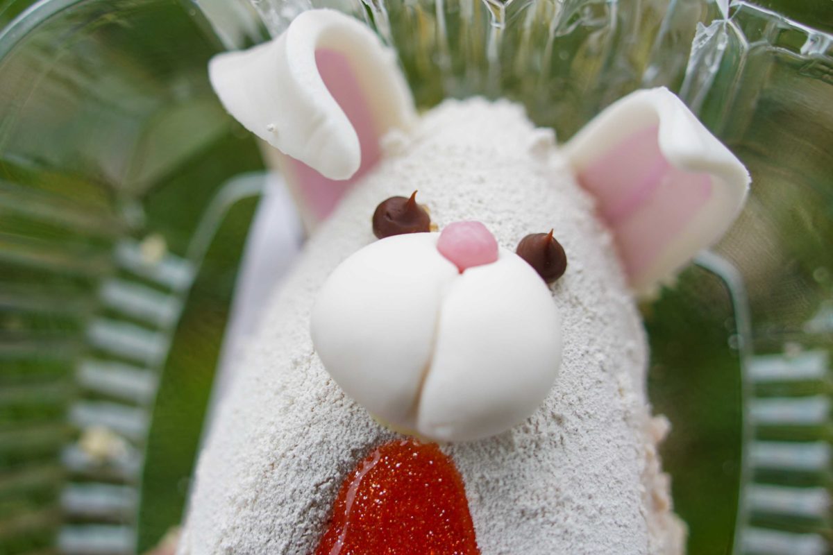 bunny-cheesecake-14