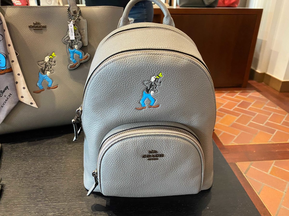coach-goofy-1