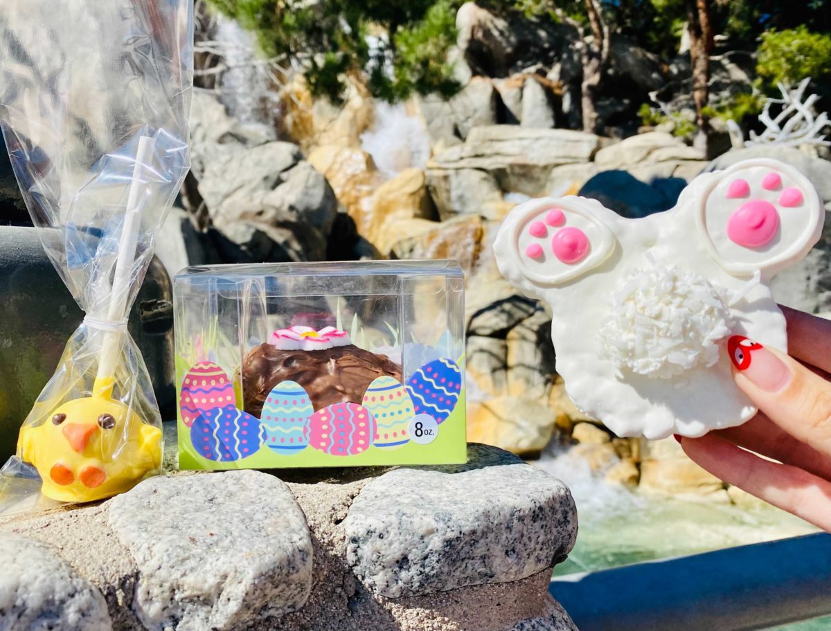easter-peep-chick-cake-pop-bunny-rice-krispie-treat-vanilla-fudge-chocolate-egg-3