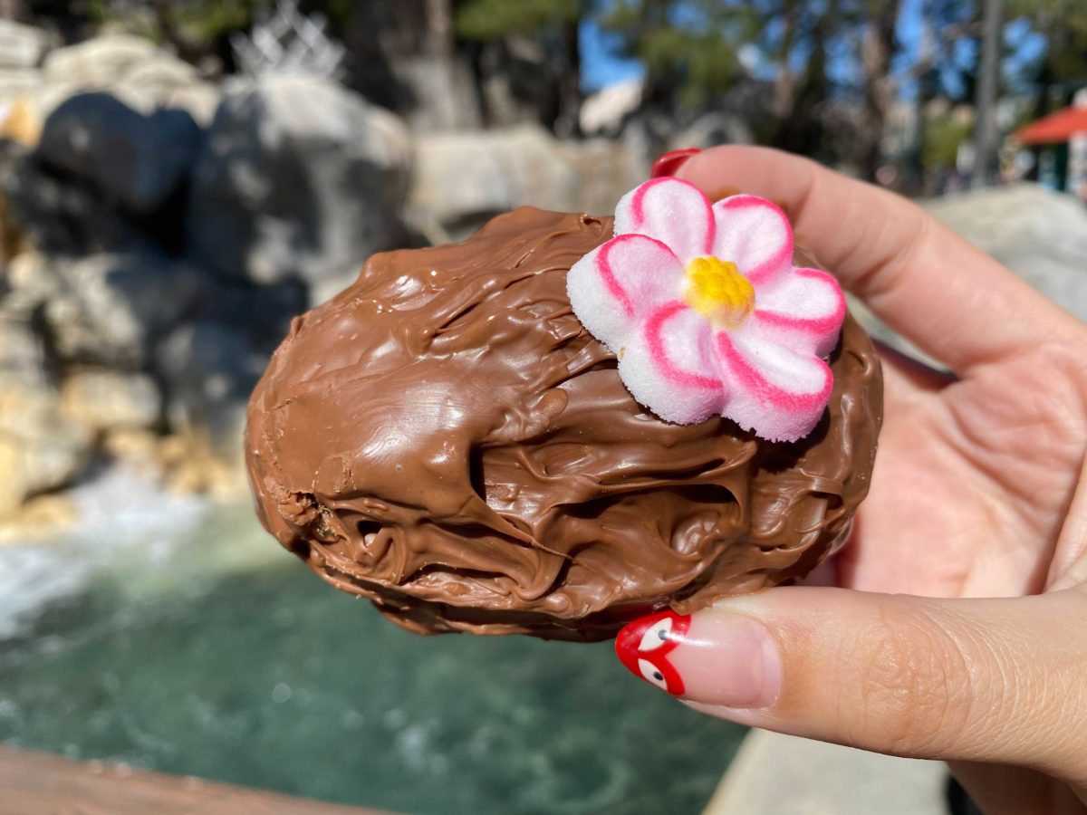 easter-vanilla-fudge-chocolate-egg-7
