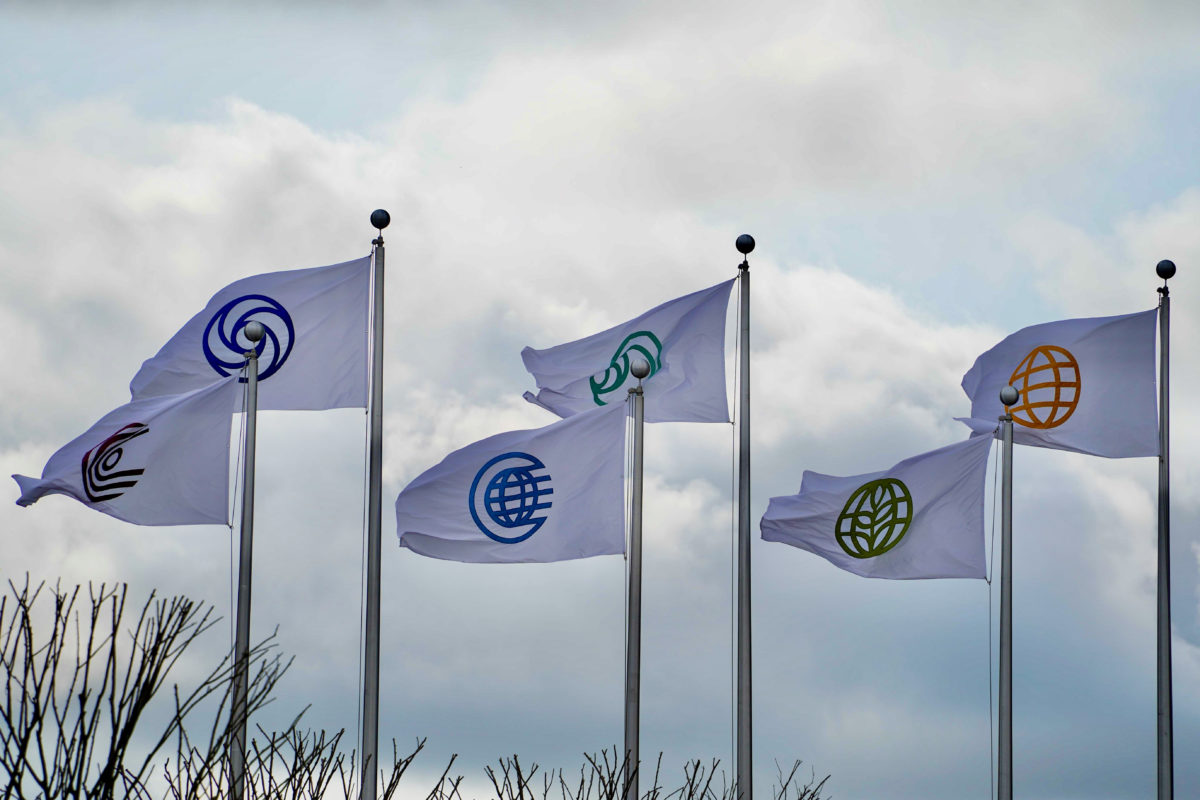 epcot-flags-2-9054447