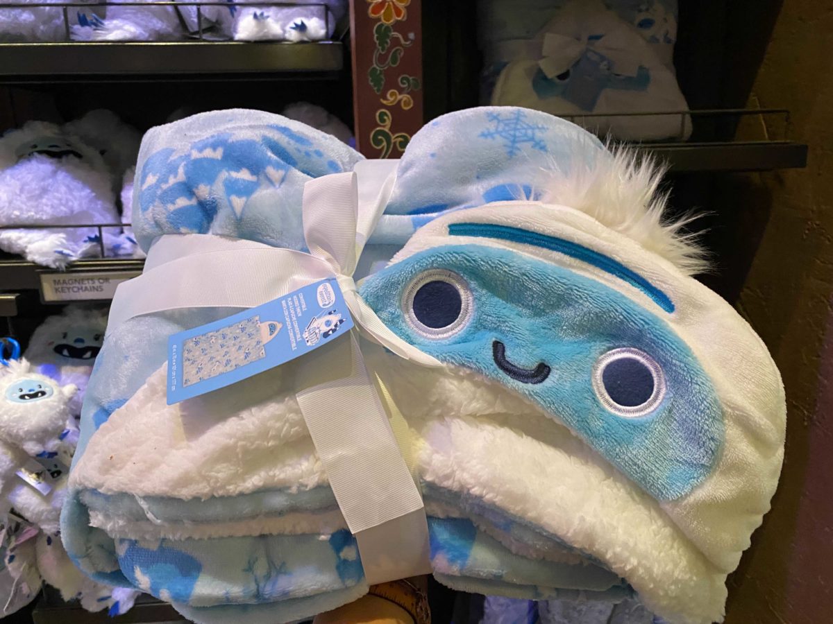 expedition-everest-15th-merchandise-0