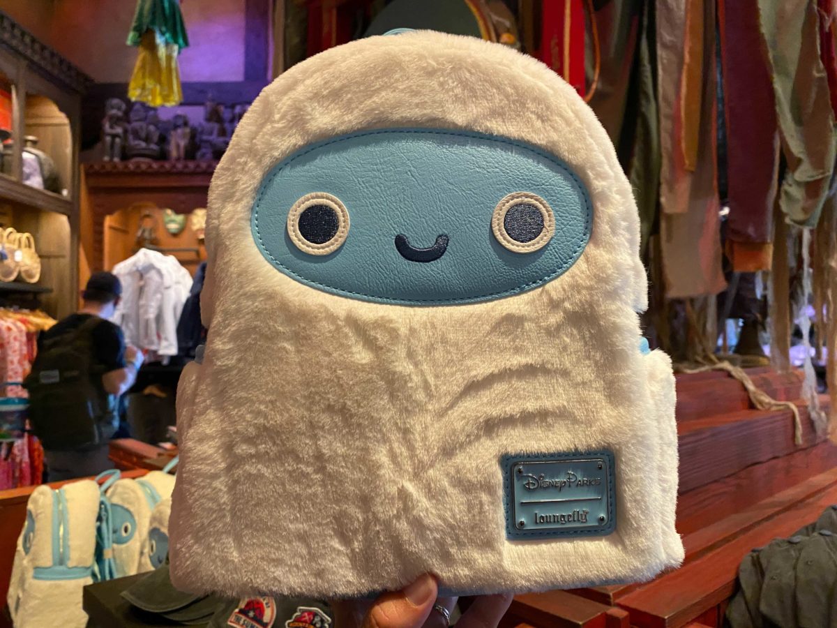 expedition-everest-15th-merchandise-11