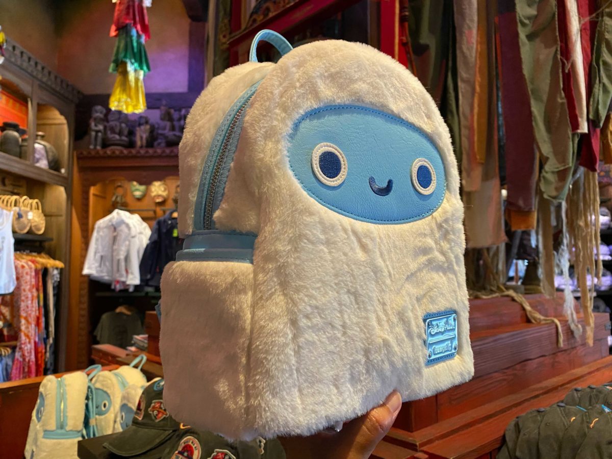 expedition-everest-15th-merchandise-14