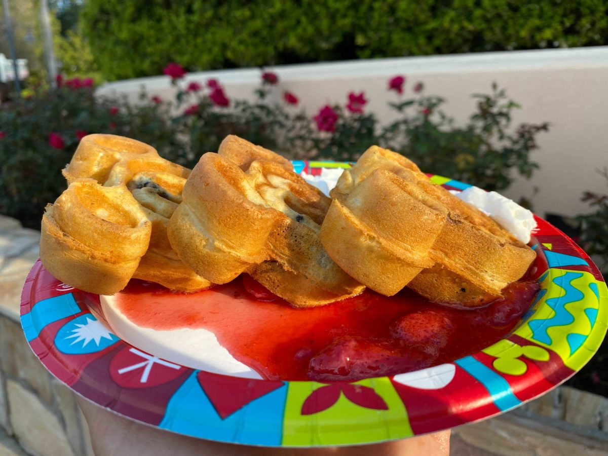 hollywood-scoops-waffles-9