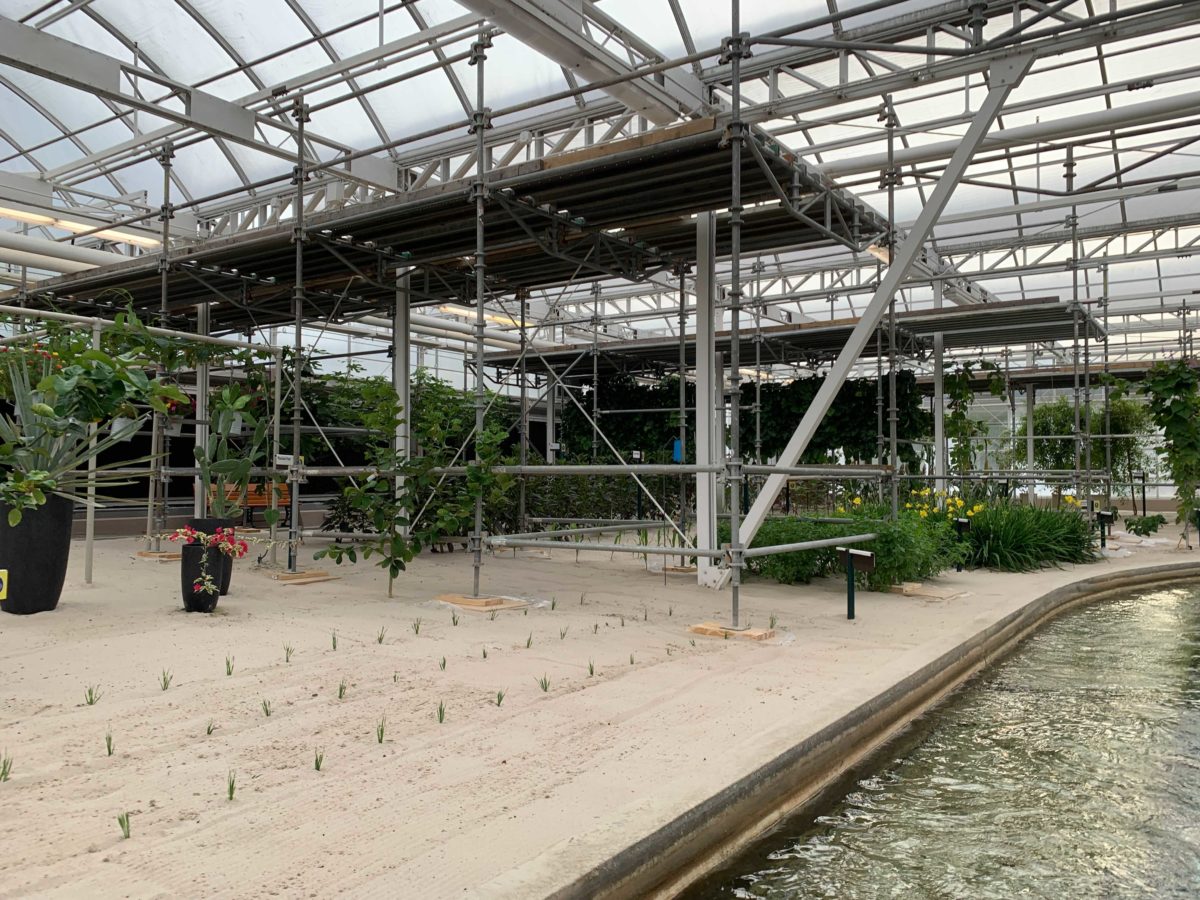 living-with-the-land-scaffolding-13
