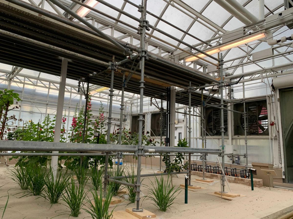 living-with-the-land-scaffolding-2