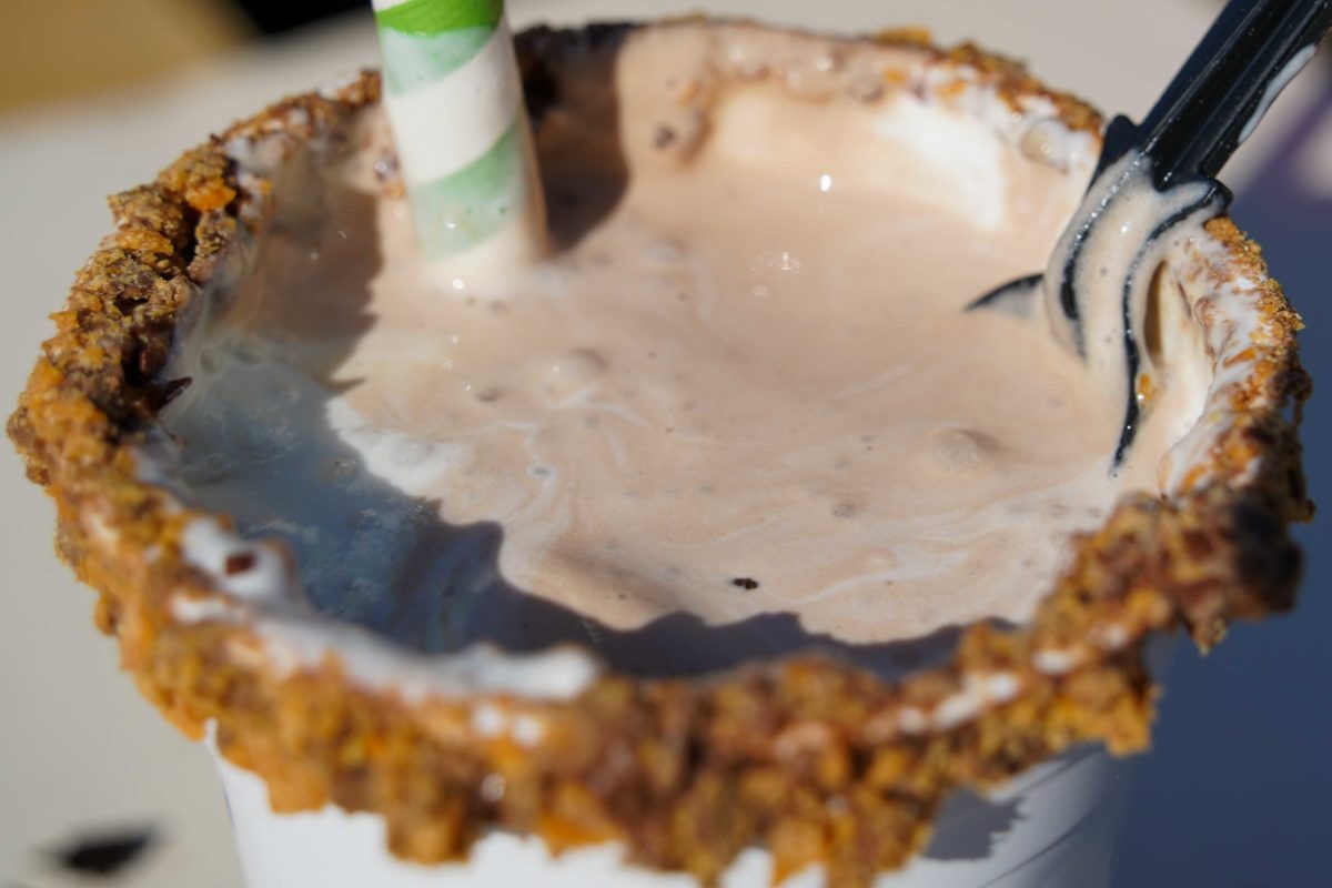 peanut-butter-chocolate-milkshake-59