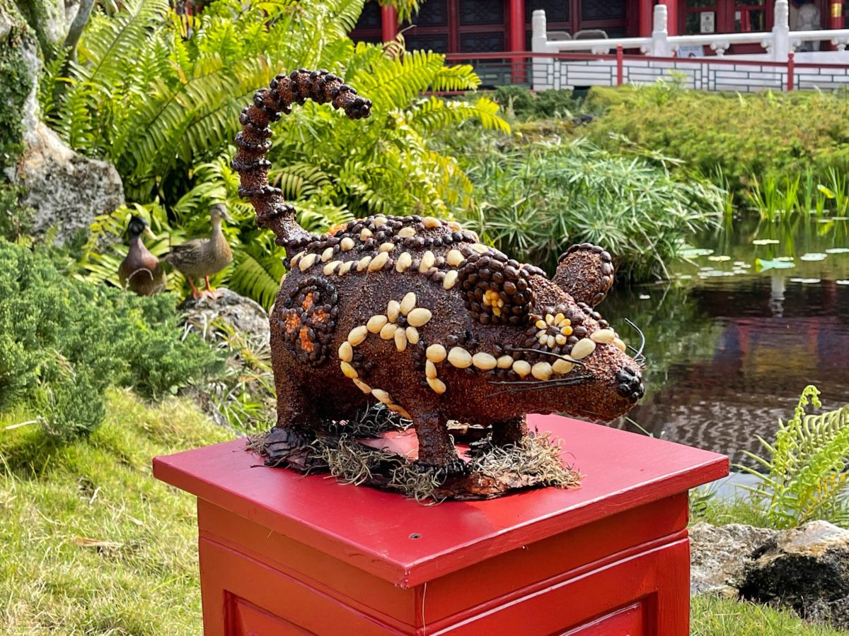 zodiac-garden-11