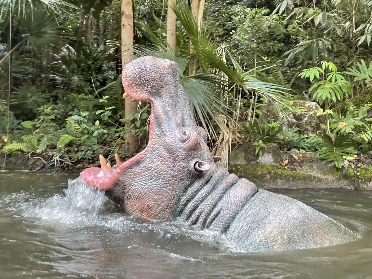 06_hangry_hippo-2842825