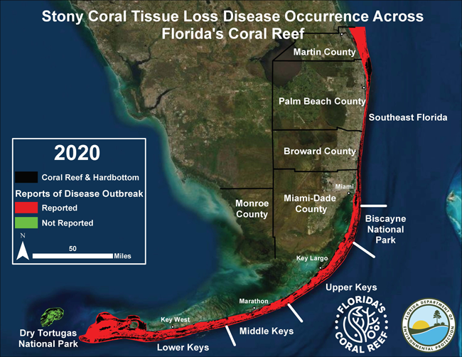2020_diseasemap