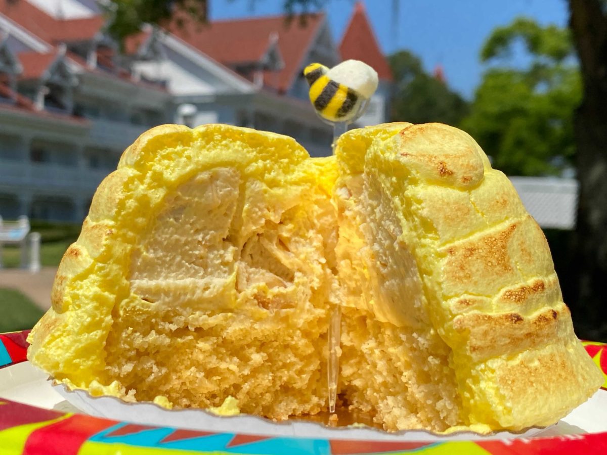 earth-day-bee-hive-cake-grand-floridian-2-4524255