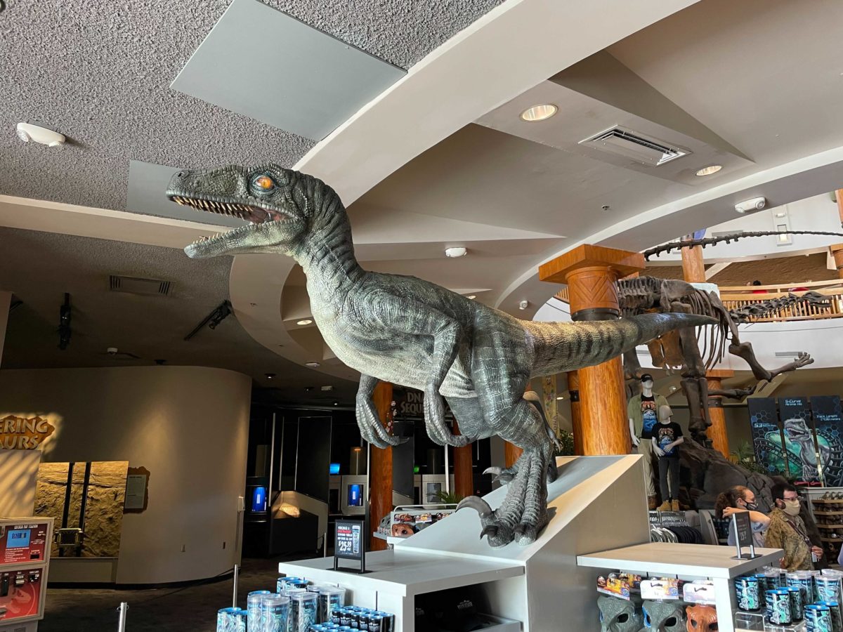 Discovery-Center-Shop
