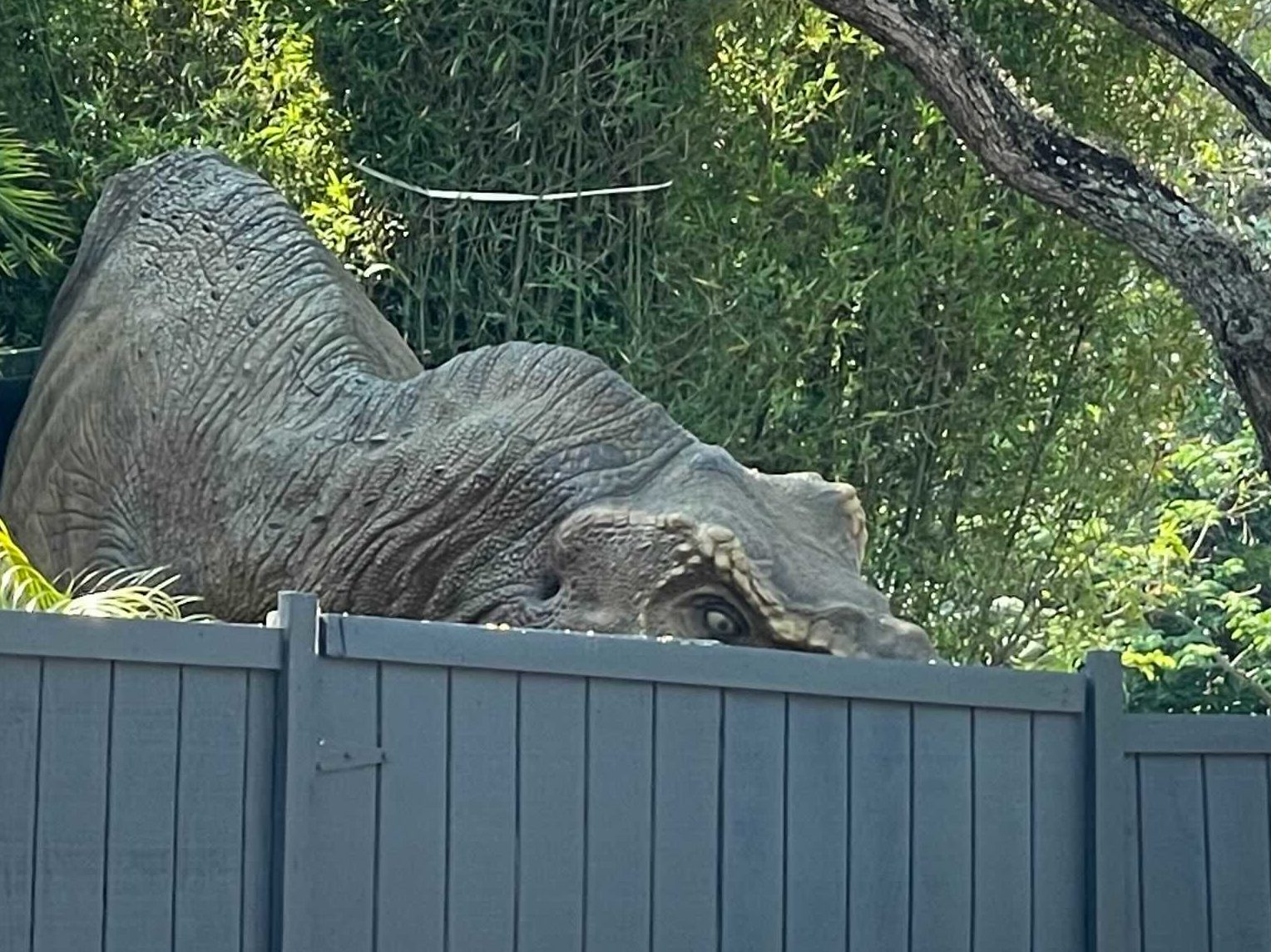 Dino-Photo-Op