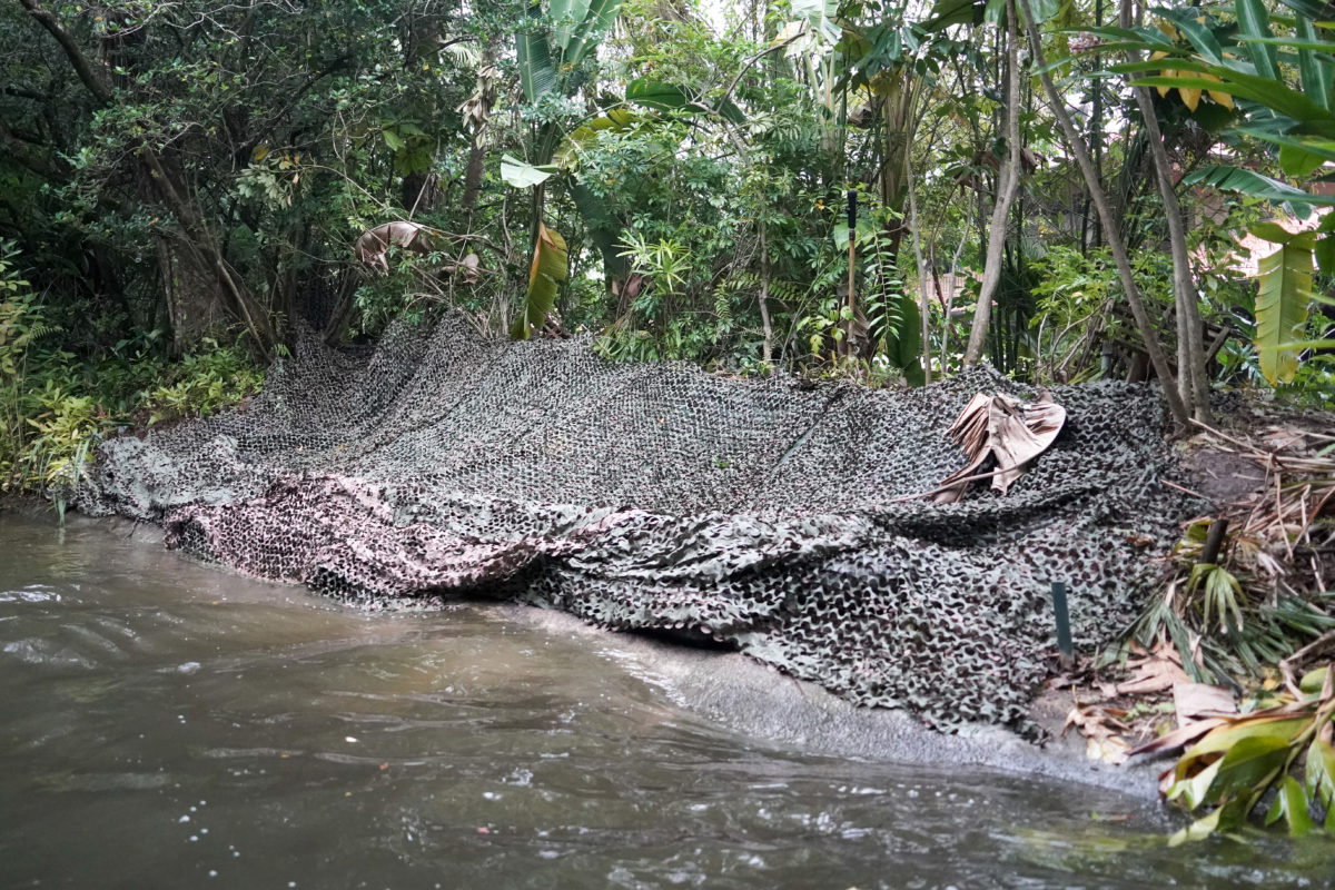 jungle-cruise-scene-removals-4-17-21-2-4268582