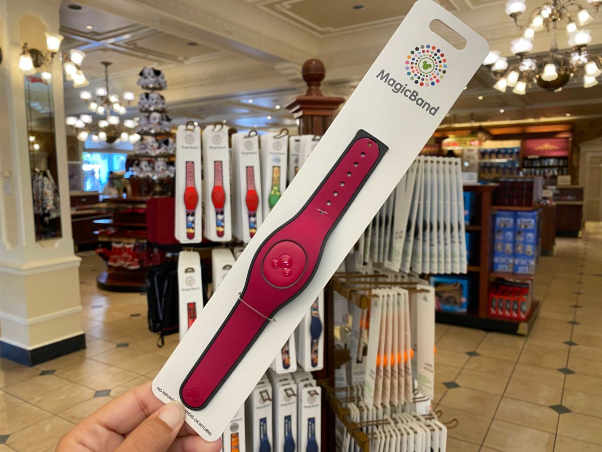 raspberry-magicband-4-4096610