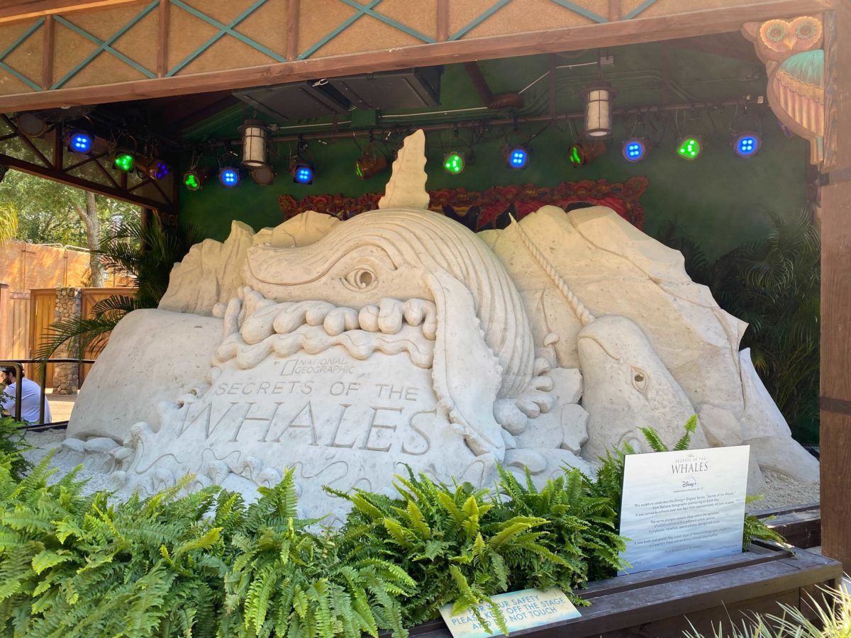 secrets-of-the-whales-display-3-1748357