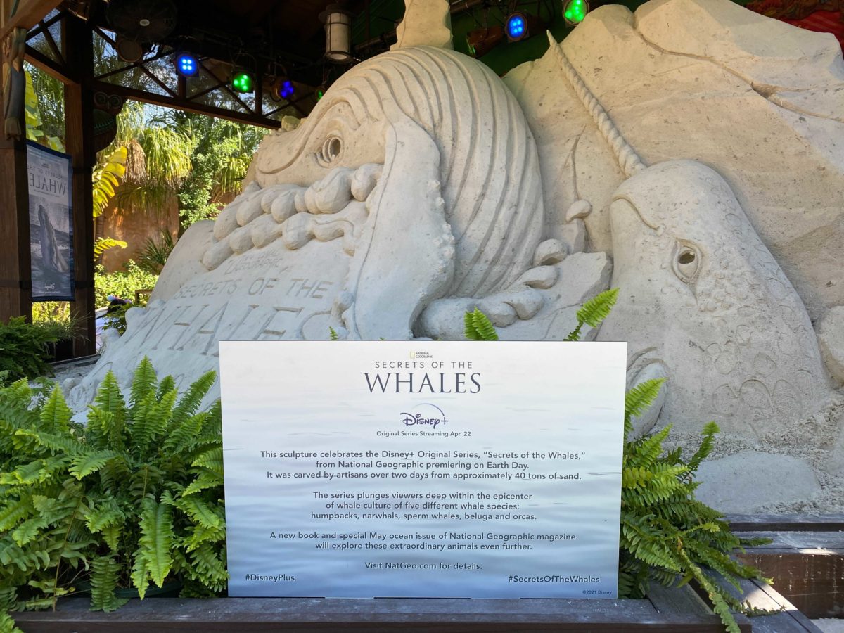 secrets-of-the-whales-display-4-1439880