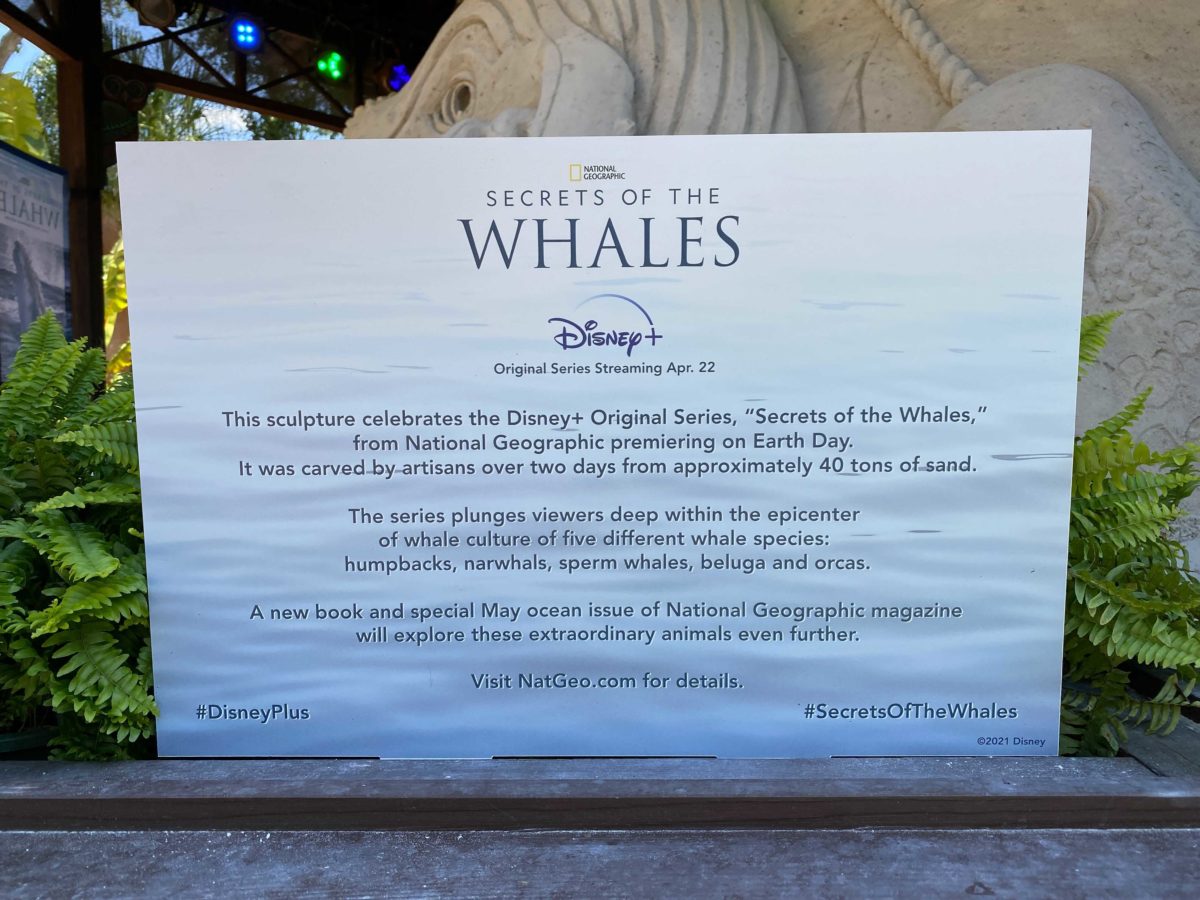 secrets-of-the-whales-display-5-8495933