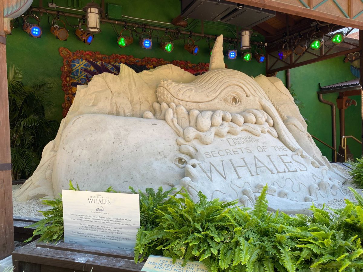secrets-of-the-whales-display-7-2047759