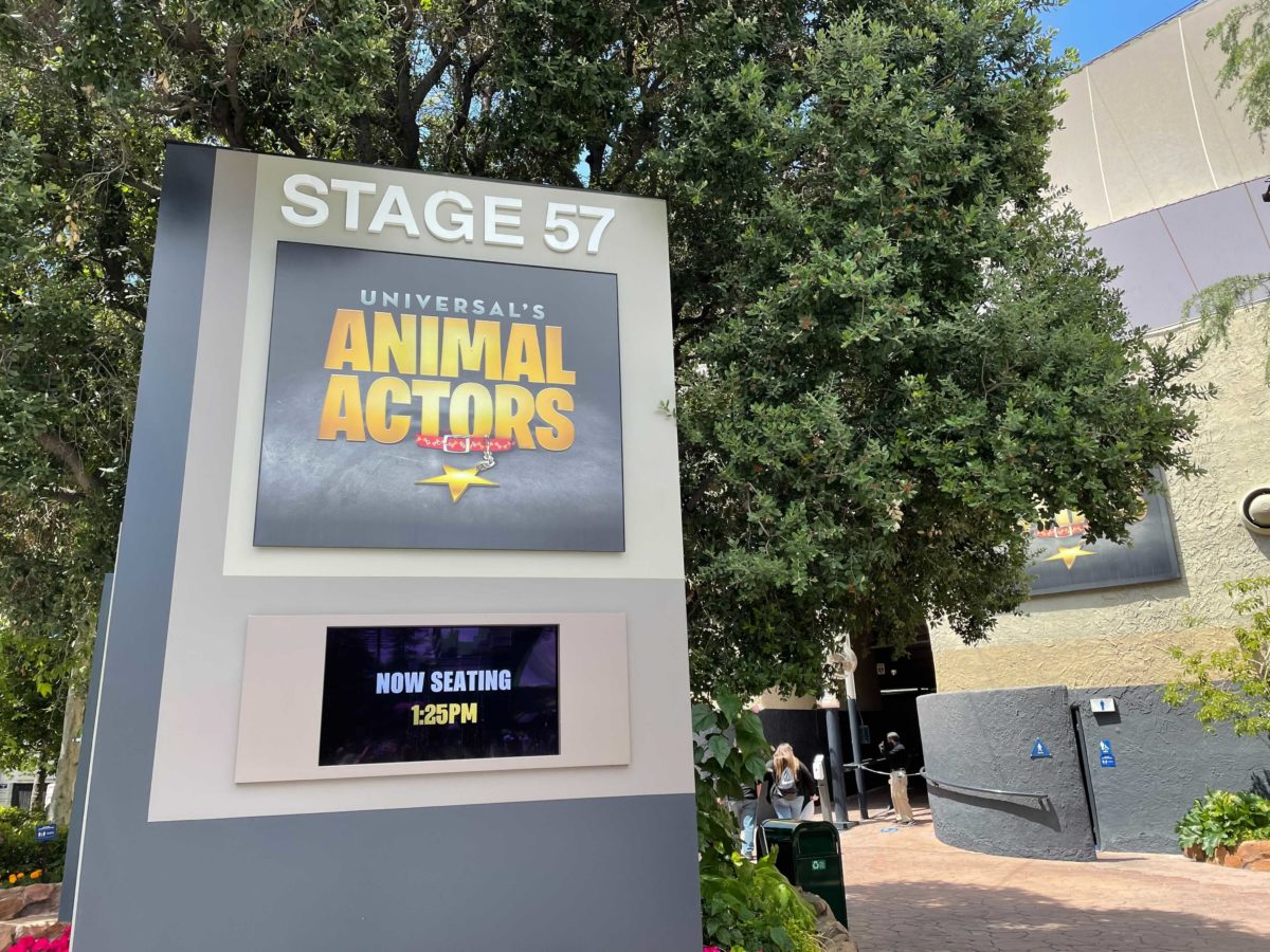 universal-studios-hollywood-animal-actors-4-7552546
