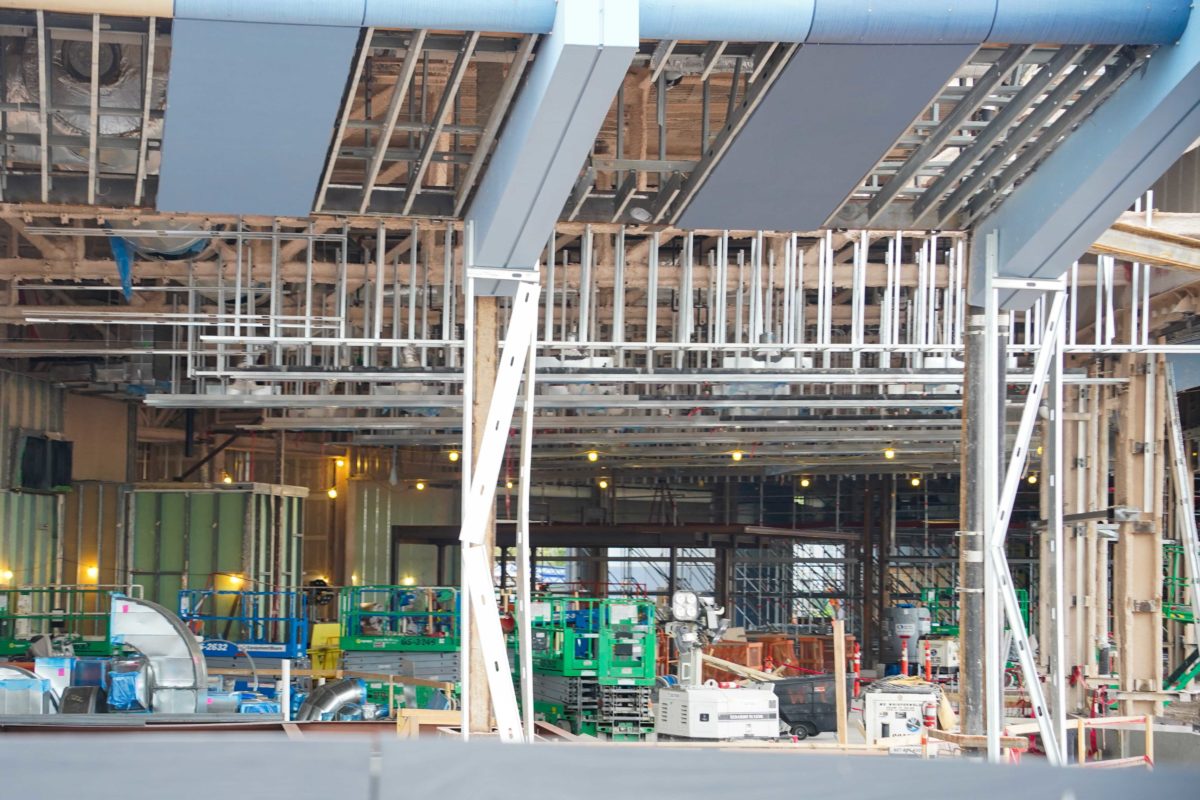 epcot-construction-04-11-33