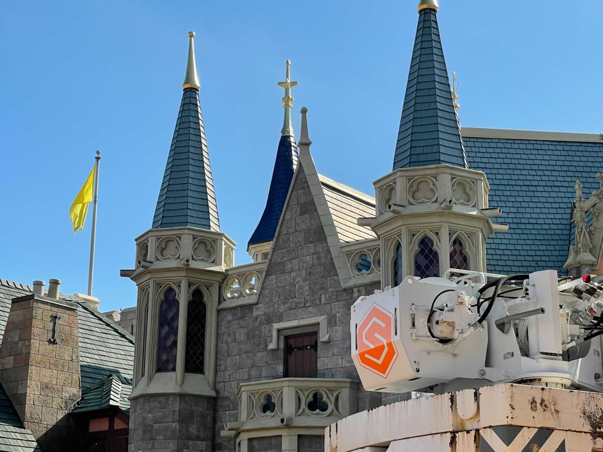 fantasyland-roofing-1
