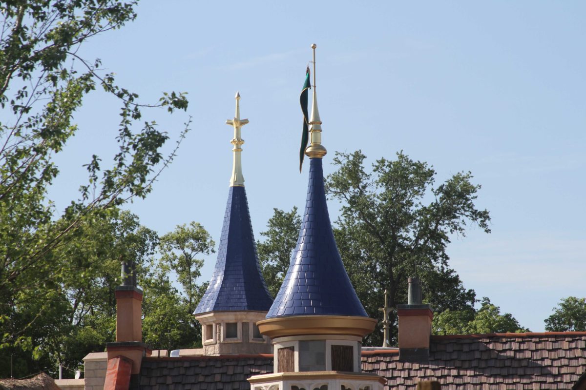 fantasyland-roofing-11