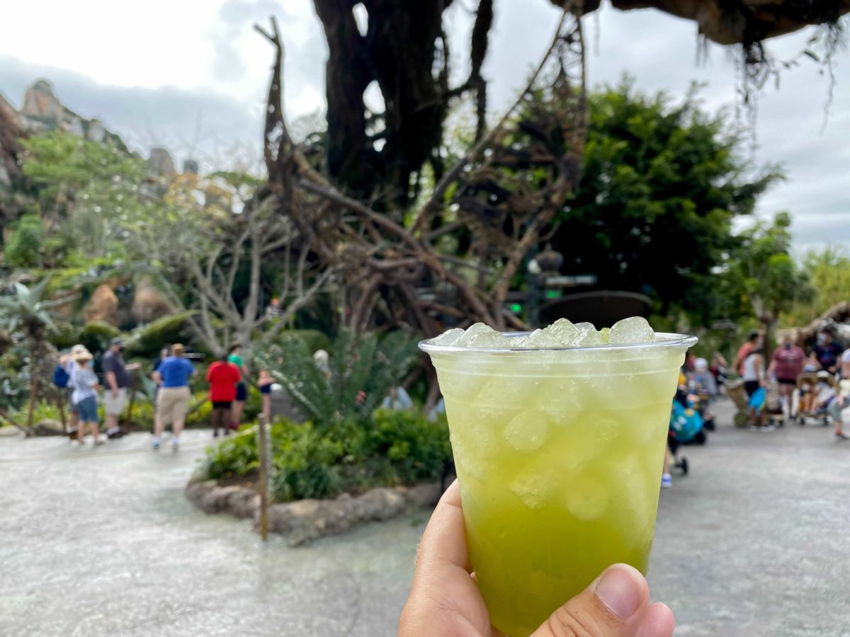 kiwi-margarita-satuli-canteen-earth-month