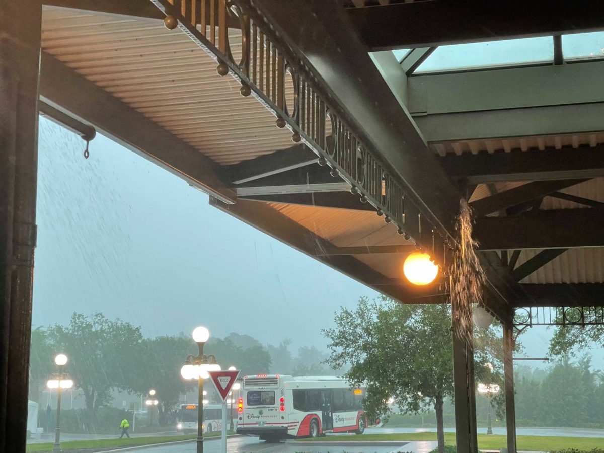 magic-kingdom-rain-2-7487617
