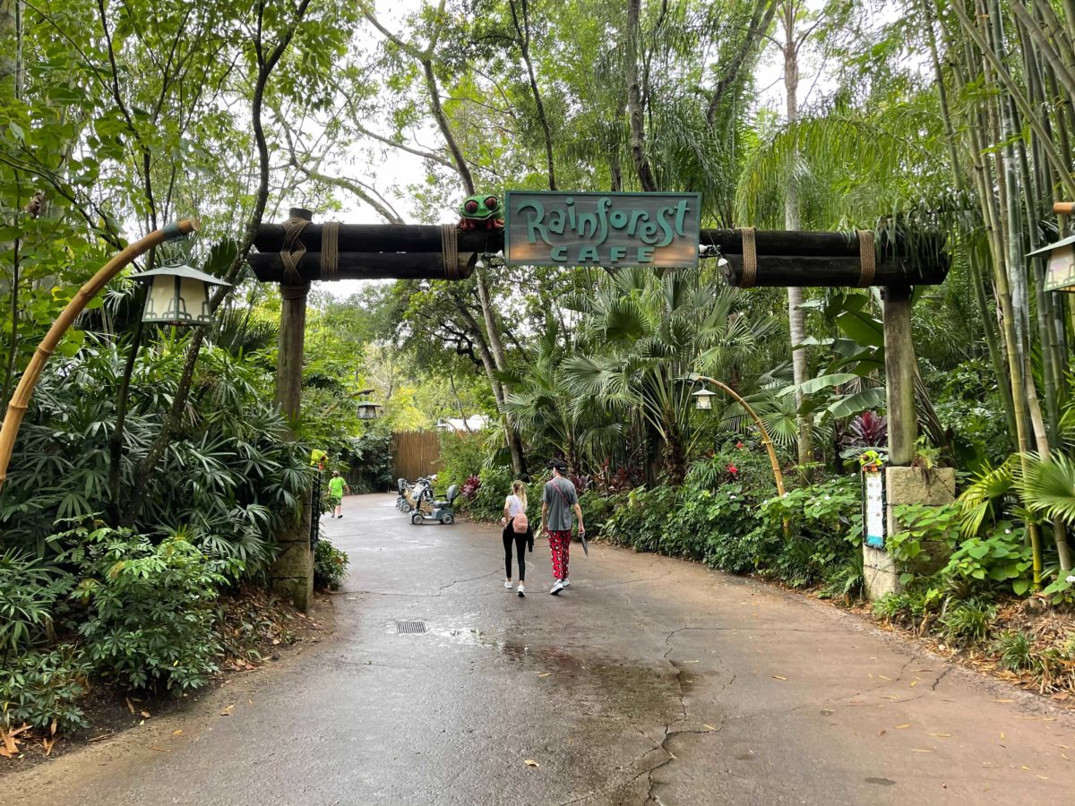 rainforest-animal-kingdom-entrance-1