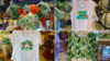 tropical-apparel-collage