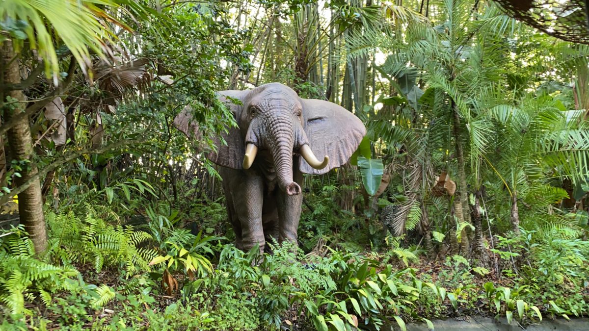 elephant-animatronics-working-jungle-cruise-magic-kingdom-04052021