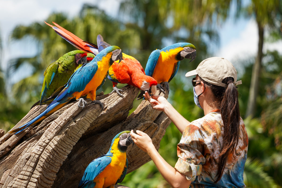 PHOTO REPORT: Magic Kingdom & Disney's Animal Kingdom 5/15/21 (Guests