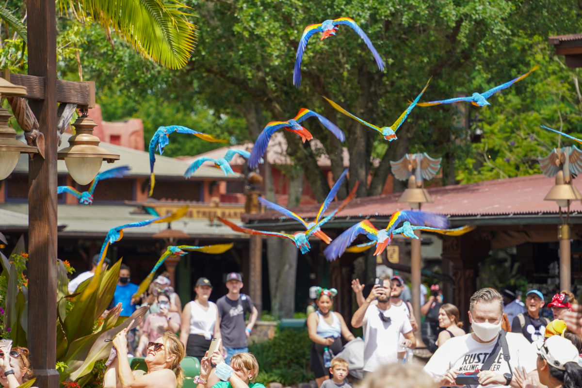 feathered friends in flight will close for refurbishment