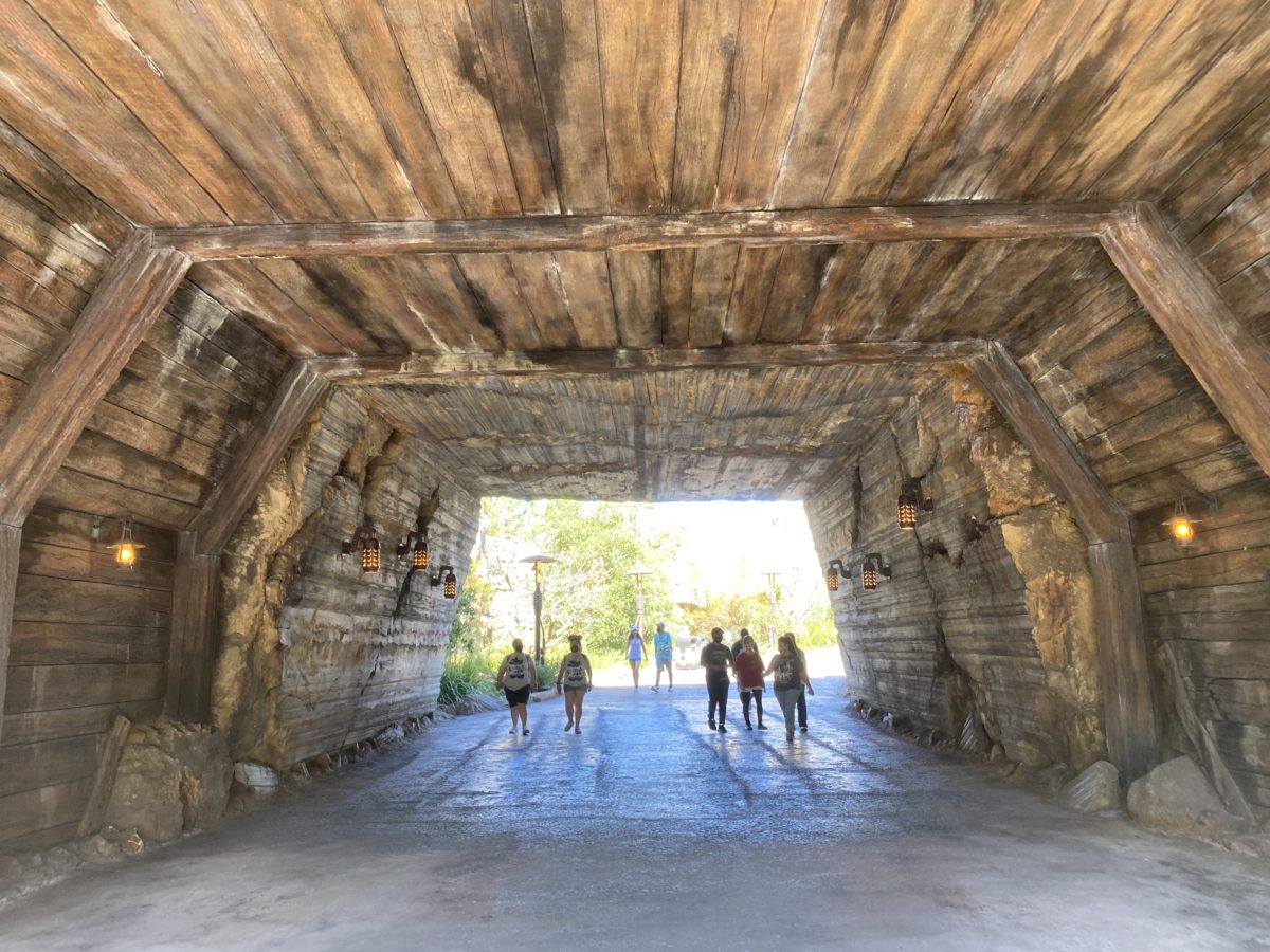 Galaxy's Edge DL reopening