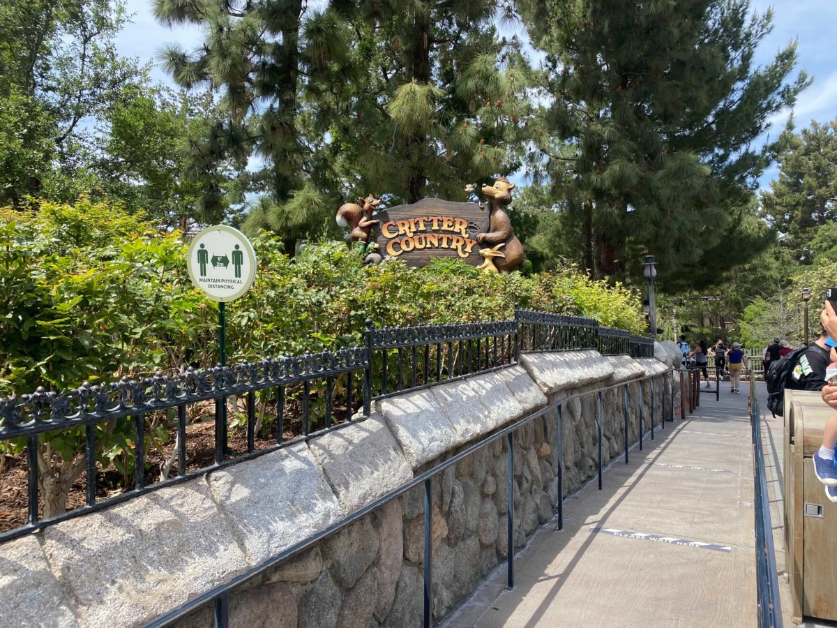 Splash-Mountain-Disneyland-Reopening